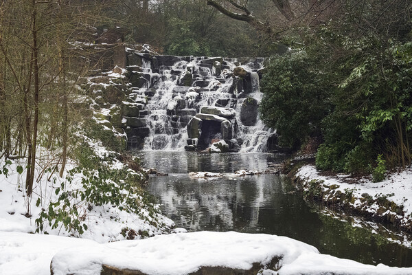 Snow covered Winter Cascades at Virginia Water. Picture Board by Dave Williams