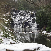 Buy canvas prints of Snow covered Winter Cascades at Virginia Water. by Dave Williams
