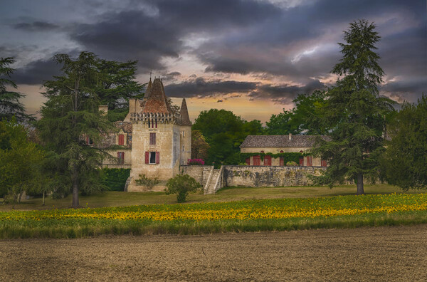 Manoir dit Chateau de Lafaurie Picture Board by Dave Williams