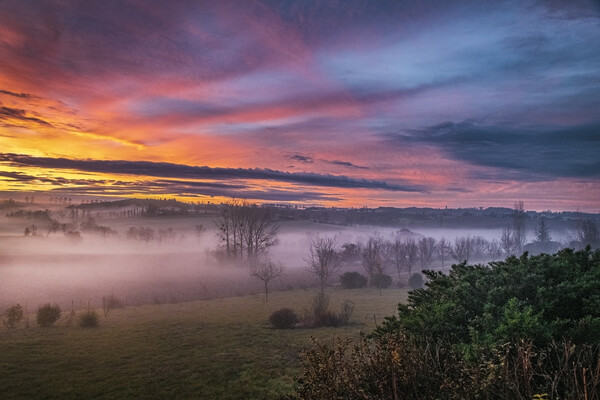 Misty Morning Sunrise Picture Board by Dave Williams