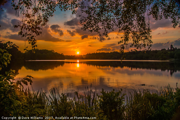 Sunset at Virginia Water Lake Picture Board by Dave Williams