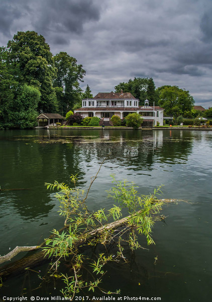 Henley On Thames Picture Board by Dave Williams