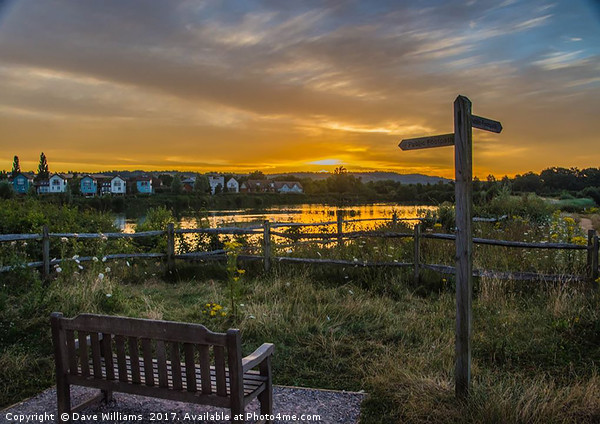 Holmethorpe Lagoons, Merstham, Surrey Picture Board by Dave Williams