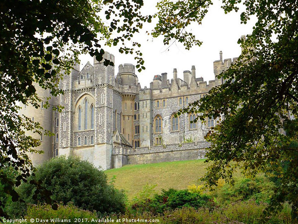 Arundel Castle, Sussex Picture Board by Dave Williams