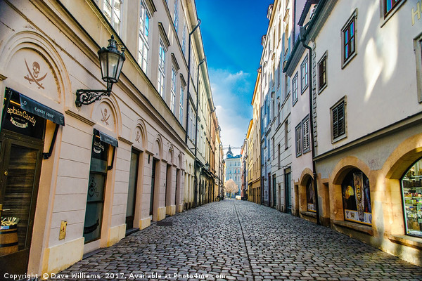Cobbled Street in Prague Picture Board by Dave Williams