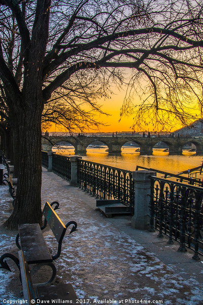 Prague Sunset over Vitava river Picture Board by Dave Williams