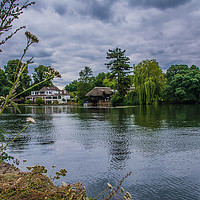 Buy canvas prints of Henley-on-Thames by Dave Williams