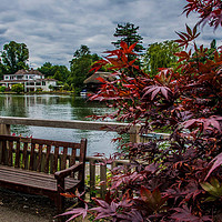 Buy canvas prints of Henley-on-Thames by Dave Williams