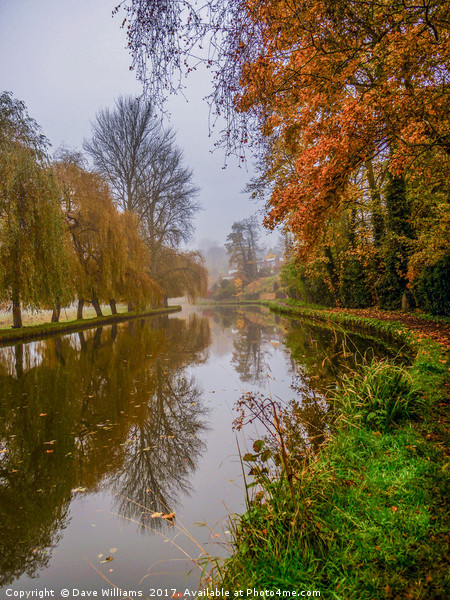 Walking the Canal towpath in Autumn Picture Board by Dave Williams