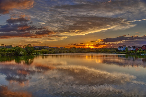 Sunset at Holmethorpe Lagoons Nature Reserve Picture Board by Dave Williams