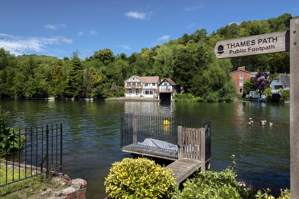 Life on the Thames Path at Henley-on-Thames Picture Board by Dave Williams