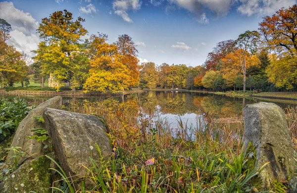 Autumn Lakescape Picture Board by Dave Williams