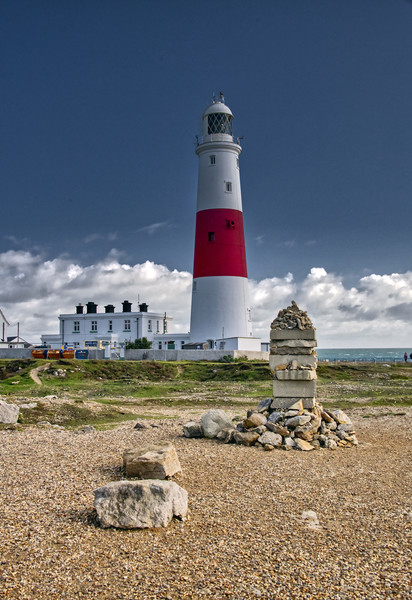 Portland Bill Lighthouse Picture Board by Dave Williams