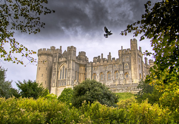 The Medieval Arundel Castle Picture Board by Dave Williams