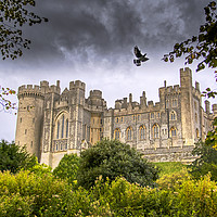 Buy canvas prints of The Medieval Arundel Castle by Dave Williams