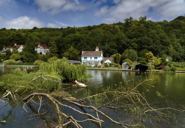 Living on the Thames Path at Henley on Thames Picture Board by Dave Williams