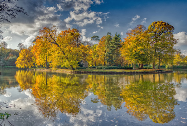 Sunny Autumn Days Picture Board by Dave Williams