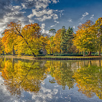 Buy canvas prints of Sunny Autumn Days by Dave Williams