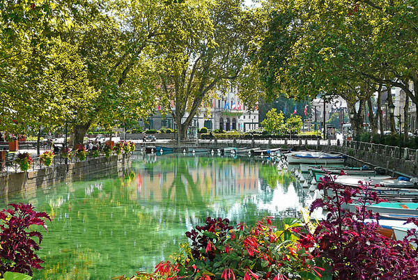 Canal du Vasse Annecy Picture Board by Dave Williams