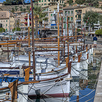 Buy canvas prints of Reflections at Port de Soller in Majorca by Dave Williams