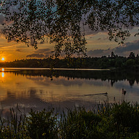 Buy canvas prints of Virginia Water Sunset by Dave Williams