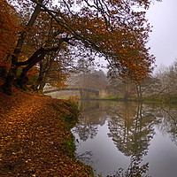 Buy canvas prints of Autumn morning o the River Wey by Dave Williams