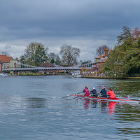 Buy canvas prints of River Thames Training by Dave Williams