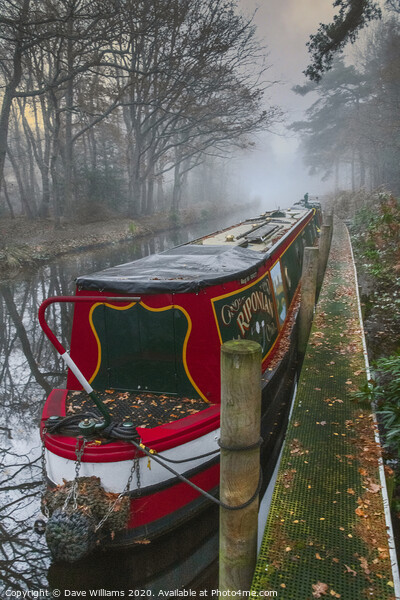 Foggy Morning on the Canal  Picture Board by Dave Williams