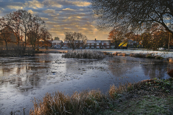 A Cold Winters Day in Yateley Picture Board by Dave Williams