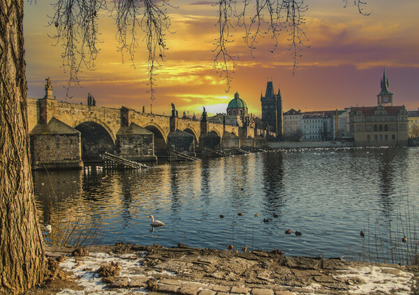 Golden Prague and the Charles Bridge Picture Board by Dave Williams