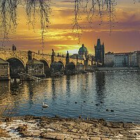 Buy canvas prints of Golden Prague and the Charles Bridge by Dave Williams