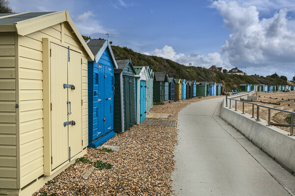 Beach Huts at Hill Head Picture Board by Dave Williams