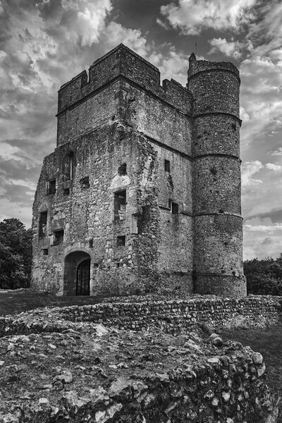 The Ruined Medieval, Donnington Castle Picture Board by Dave Williams