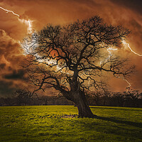 Buy canvas prints of Hells Bells _ Thunderstruck Tree by Dave Williams