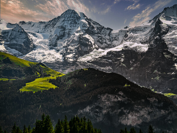 The Monch snow capped Mountain in Switzerland Picture Board by Dave Williams