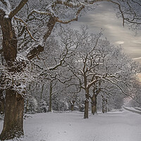 Buy canvas prints of Winter Snow at Hartley Witney in Hampshire by Dave Williams