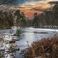Buy canvas prints of Winters Morning at Heath Pond, Simons Wood in Berk by Dave Williams