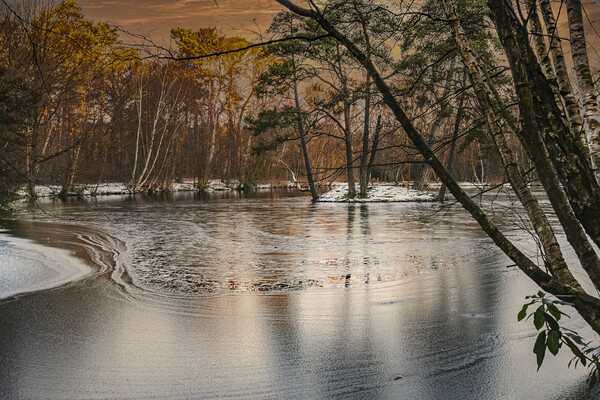 Ice Patterns and Snow on Heath Pond, Finchampstead Picture Board by Dave Williams