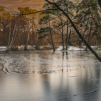 Buy canvas prints of Ice Patterns and Snow on Heath Pond, Finchampstead by Dave Williams