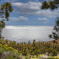 Buy canvas prints of Mount Teide Cloud Inversion by Dave Williams