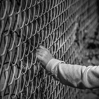 Buy canvas prints of Little girl hand holding fence by Daniela Simona Temneanu