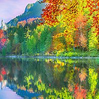 Buy canvas prints of Autumn forest reflected in the water lake by Daniela Simona Temneanu