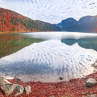 Buy canvas prints of Alpsee lake in autumn colors by Daniela Simona Temneanu