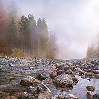 Buy canvas prints of Autumn mist over river and forest by Daniela Simona Temneanu