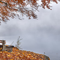 Buy canvas prints of Benches on a foggy lake shore by Daniela Simona Temneanu