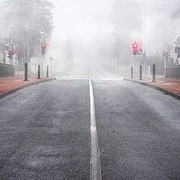 Buy canvas prints of Boulevard in Slovenia surrounded by mist by Daniela Simona Temneanu