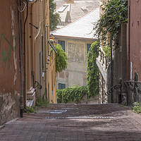 Buy canvas prints of Empty old street in Genoa city by Daniela Simona Temneanu