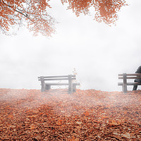 Buy canvas prints of Man on bench shrouded by mist in autumn decor by Daniela Simona Temneanu