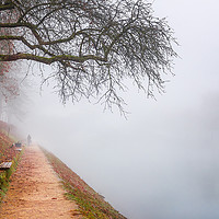 Buy canvas prints of Path in autumn mist along the river by Daniela Simona Temneanu