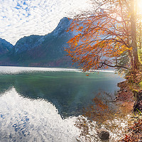 Buy canvas prints of Path on Alpsee lake shore in autumn decor by Daniela Simona Temneanu